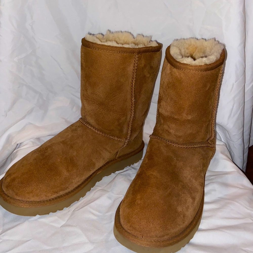 Ugg classic short boot in chestnut